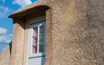Yondover thatch roof disadvantages