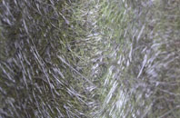 Yondover fibreglass roof work